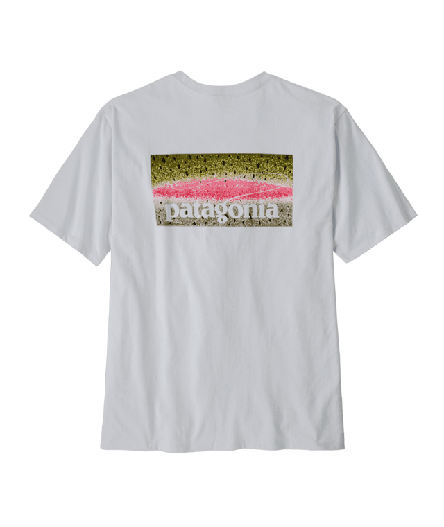 PATAGONIA Take a Stand Responsibili-Tee T-Shirt Rainbow Run/White Men's Short Sleeve T-Shirts Patagonia 
