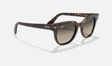 RAY-BAN Meteor Polished Tortoise - Light Grey Sunglasses Sunglasses Ray-Ban 