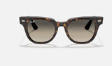 RAY-BAN Meteor Polished Tortoise - Light Grey Sunglasses Sunglasses Ray-Ban 