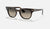 RAY-BAN Meteor Polished Tortoise - Light Grey Sunglasses Sunglasses Ray-Ban 