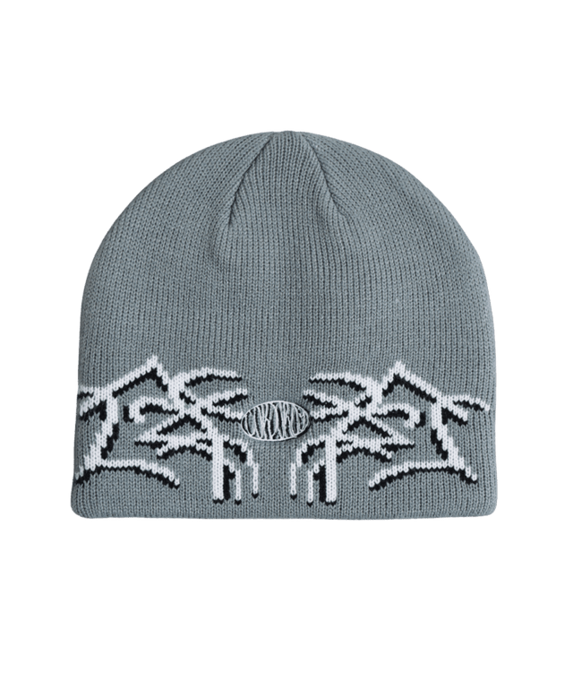 CORDUROY Airbrush By Egan Wint Skully Beanie Light Blue Men's Beanies Corduroy 