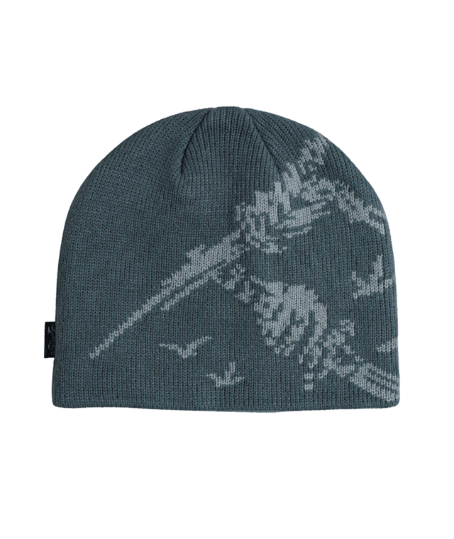 CORDUROY Soy Sauce Nation Skully Beanie Slate Men's Beanies Corduroy 