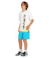 VOLCOM Boy's Vision Liberators Boardshorts Clearwater Boy's Boardshorts Volcom 