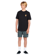 VOLCOM Boy's Asphalt Beach Short Black Boy's Boardshorts Volcom 