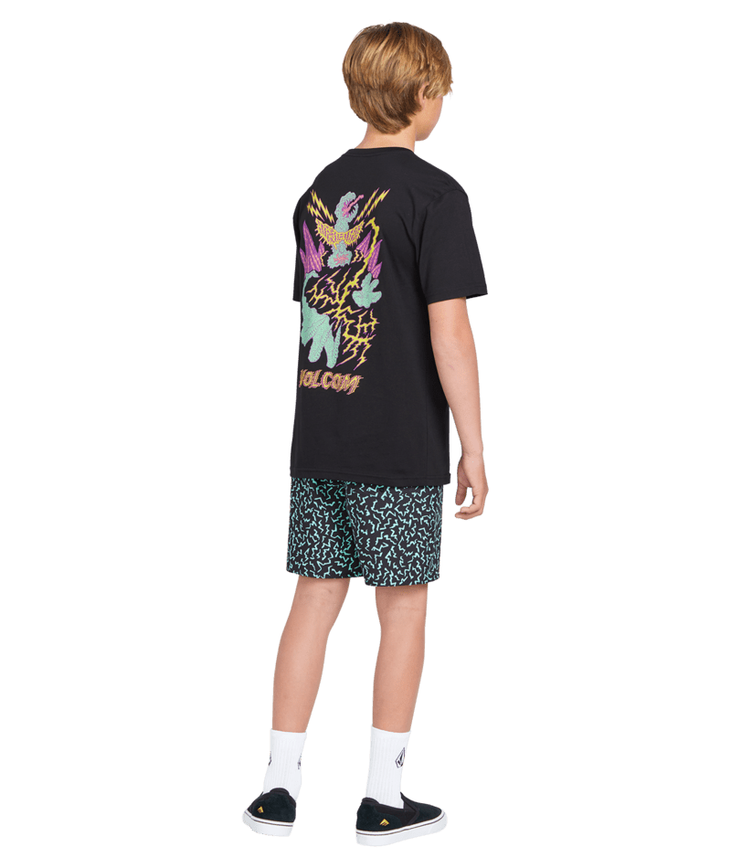 VOLCOM Boy's Asphalt Beach Short Black Boy's Boardshorts Volcom 