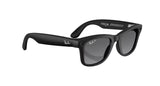 RAY-BAN Meta Wayfarer Matte Black - Graphite Polarized (Gen 2) Sunglasses Sunglasses Ray-Ban 