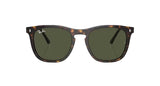 RAY-BAN RB2210 Polished Havana - Green Sunglasses Freeride Boardshop 