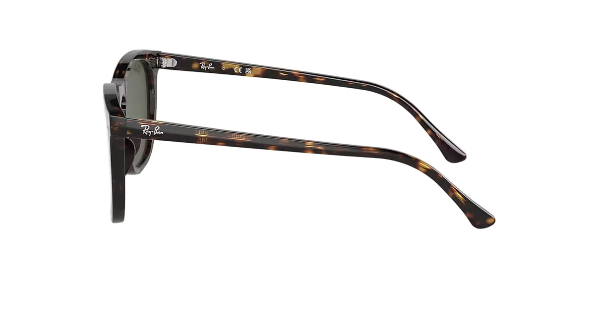 RAY-BAN RB2210 Polished Havana - Green Sunglasses Freeride Boardshop 