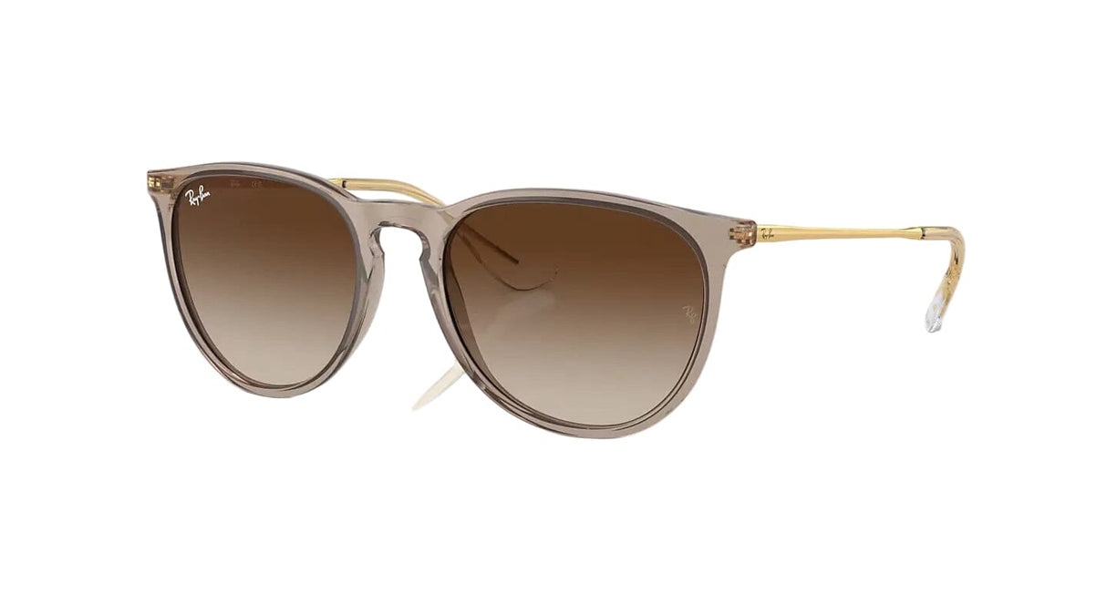 RAY-BAN Erika Classic Transparent Light Brown - Brown Gradient Sunglasses Sunglasses Ray-Ban 