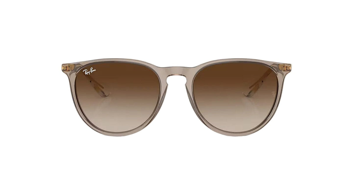 RAY-BAN Erika Classic Transparent Light Brown - Brown Gradient Sunglasses Sunglasses Ray-Ban 