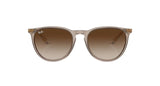 RAY-BAN Erika Classic Transparent Light Brown - Brown Gradient Sunglasses Sunglasses Ray-Ban 