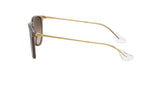 RAY-BAN Erika Classic Transparent Light Brown - Brown Gradient Sunglasses Sunglasses Ray-Ban 