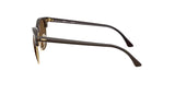 RAY-BAN Clubmaster Classic Polished Brown/Gold - Dark Brown Sunglasses Sunglasses Ray-Ban 