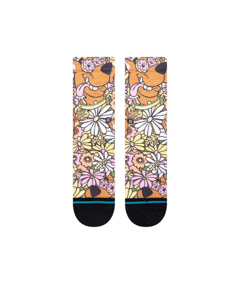 STANCE Kids Snakin Scoobs Socks Multi Youth Socks Stance 