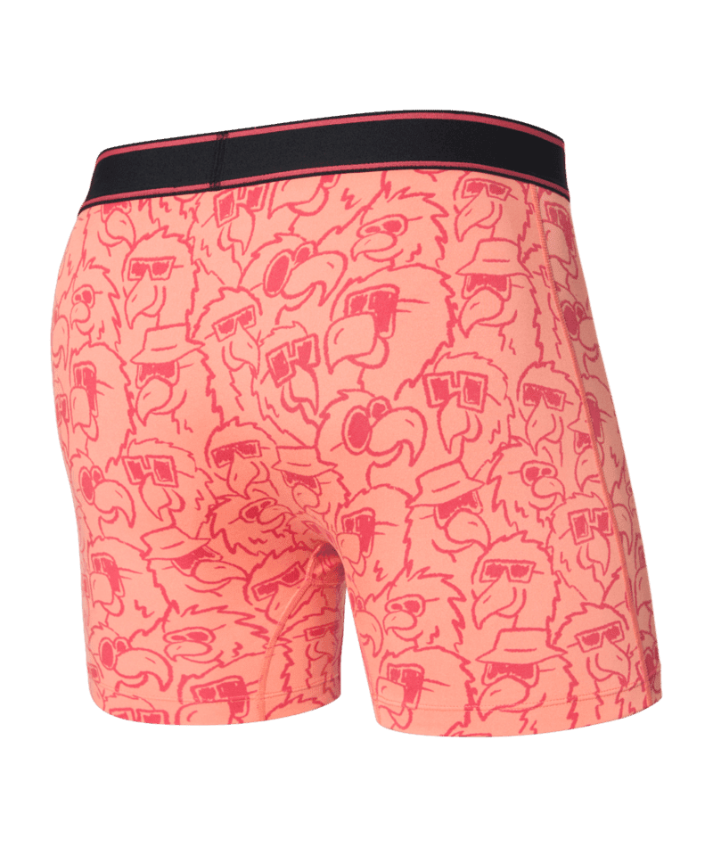 SAXX Daytripper Boxer Brief Underwear Parrot Party/Fusion Coral Men's Underwear Saxx 