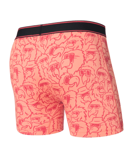 SAXX Daytripper Boxer Brief Underwear Parrot Party/Fusion Coral Men's Underwear Saxx 