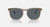 RAY-BAN RB2210 Polished Transparent Brown - Blue Sunglasses Sunglasses Ray-Ban 