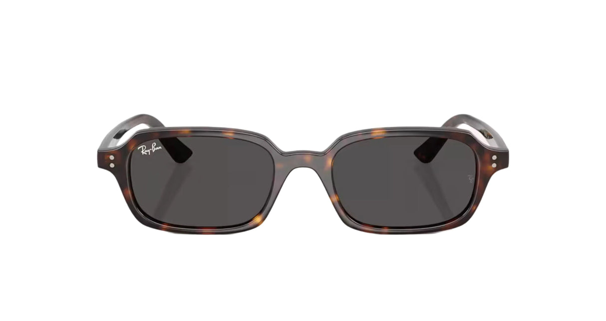 RAY-BAN Zuri Polished Havana - Dark Grey Sunglasses Sunglasses Ray-Ban 