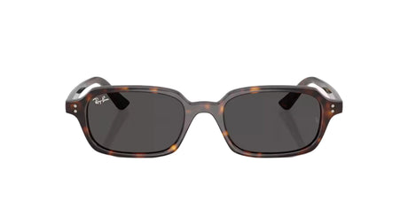 RAY-BAN Zuri Polished Havana - Dark Grey Sunglasses Sunglasses Ray-Ban 