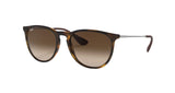 RAY-BAN Erika Matte Havana - Brown Sunglasses Sunglasses Ray-Ban 