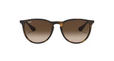 RAY-BAN Erika Matte Havana - Brown Sunglasses Sunglasses Ray-Ban 