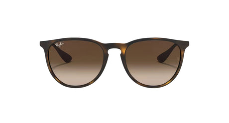 RAY-BAN Erika Matte Havana - Brown Sunglasses Sunglasses Ray-Ban 