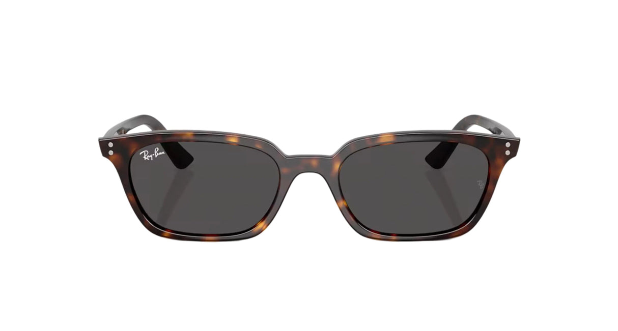 RAY-BAN Zaya Polished Havana - Dark Grey Sunglasses Sunglasses Ray-Ban 