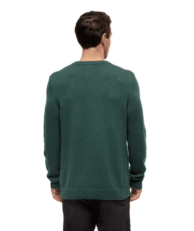 TENTREE Dalton Sweater Forest Pine Heather Men's Sweaters Tentree 