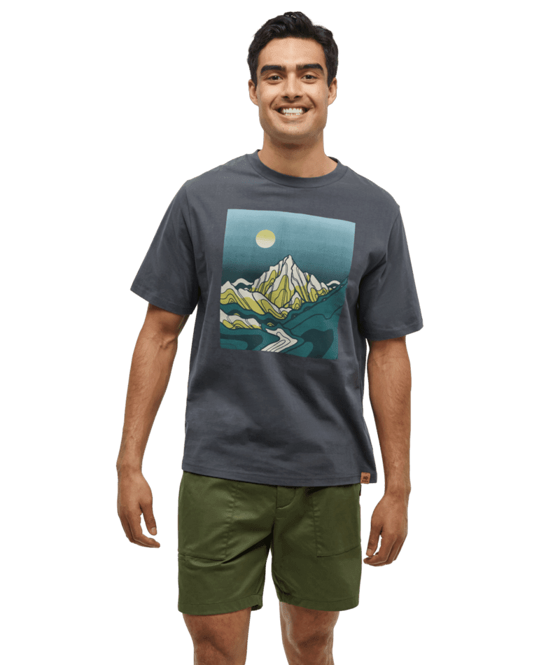 TENTREE Emerald Edge Relaxed T-Shirt Graphite/Bistro Green Men's Short Sleeve T-Shirts Tentree 