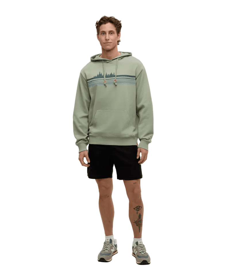 TENTREE Retro Treeline Relaxed Pullover Hoodie Light Moss/Tidal Teal Men's Pullover Hoodies Tentree 