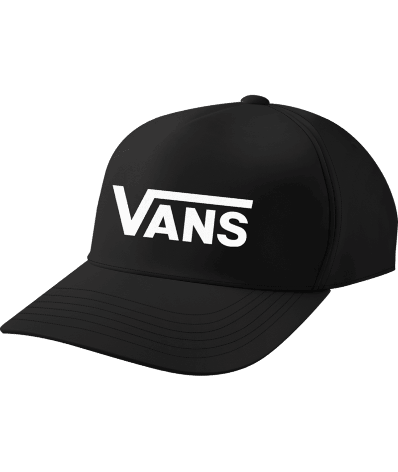 Vans Drop V Vans Snapback Caps VANS Boy's Drop V Logo Snapback Hat