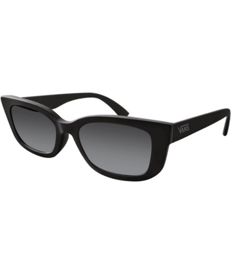 VANS Motz Sunglasses Black Sunglasses Vans 