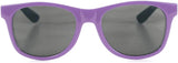 VANS Spicoli 4 Shades Sunglasses Purple Haze Sunglasses Vans 