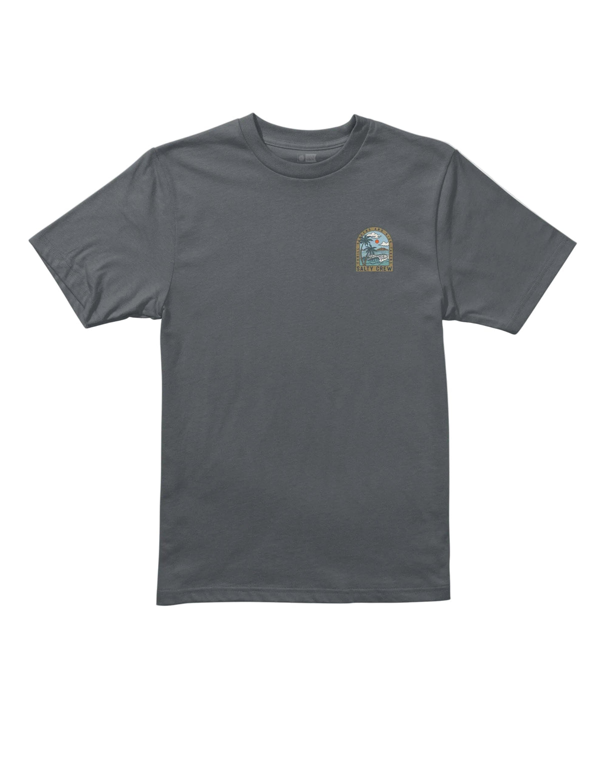 SALTY CREW Boys Archway T-Shirt Charcoal Boy's T-Shirts Salty Crew 