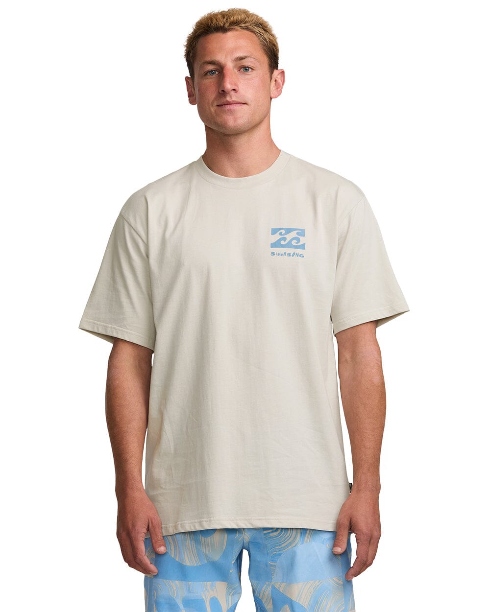 BILLABONG Elements T-Shirt Stone Men's Short Sleeve T-Shirts Billabong 