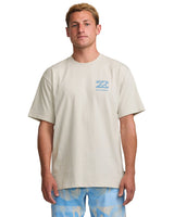 BILLABONG Elements T-Shirt Stone Men's Short Sleeve T-Shirts Billabong 