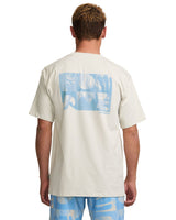 BILLABONG Elements T-Shirt Stone Men's Short Sleeve T-Shirts Billabong 