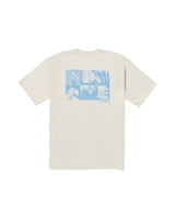 BILLABONG Elements T-Shirt Stone Men's Short Sleeve T-Shirts Billabong 