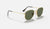 RAY-BAN Hexagonal Flat Lenses Gold - Green Classic Sunglasses Sunglasses Ray-Ban 
