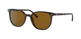 RAY-BAN Elliot Havana - Brown Classic Sunglasses Sunglasses Ray-Ban 