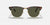 RAY-BAN Clubmaster Classic Tortoise On Arista - G-15 Green Sunglasses Sunglasses Ray-Ban 