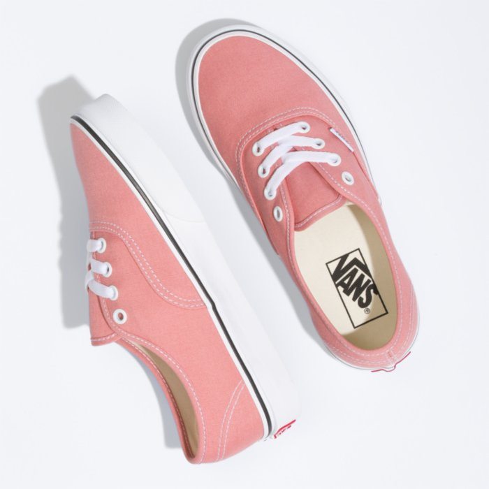 VANS Authentic Shoes Women's Rosette/True White Women's Skate Shoes Vans 